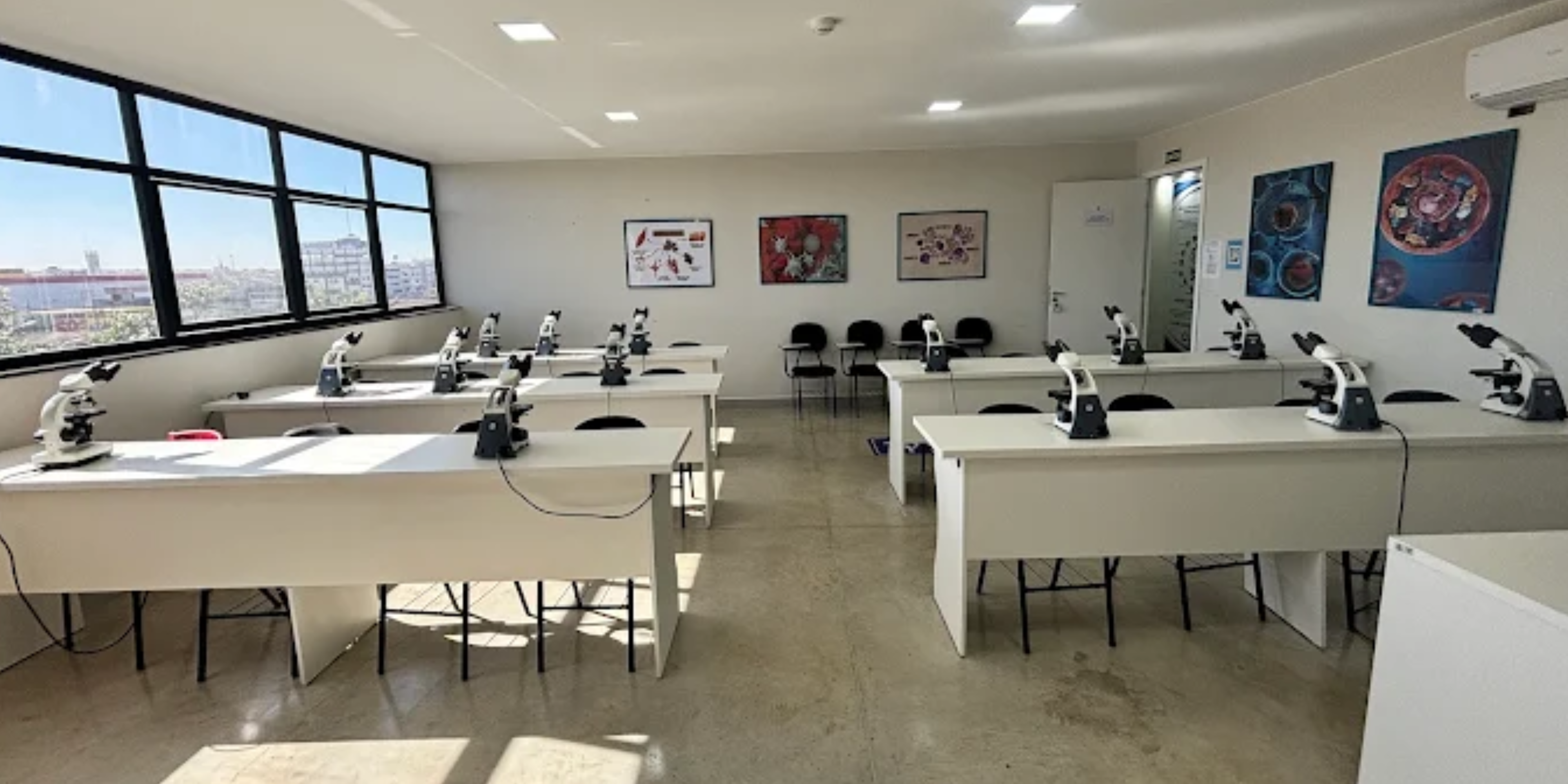 Imagem da galeria 2