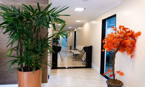 Imagem da galeria 2