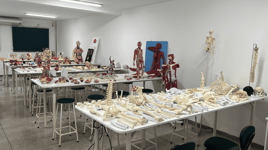 Imagem da galeria 6