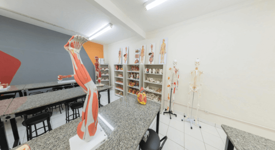 Imagem da galeria 6