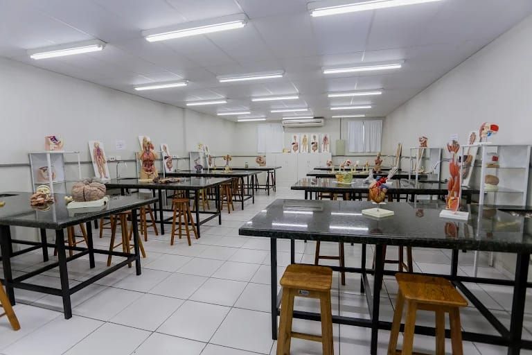 Imagem da galeria 4