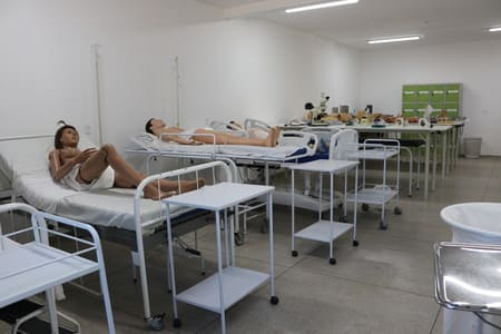 Imagem da galeria 4