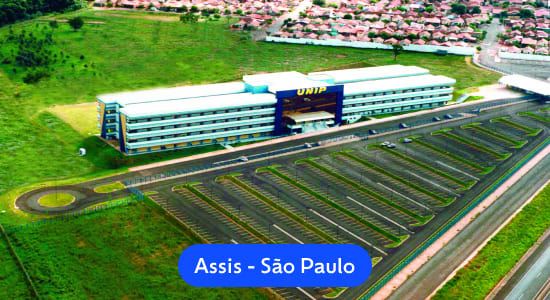Imagem da galeria 7
