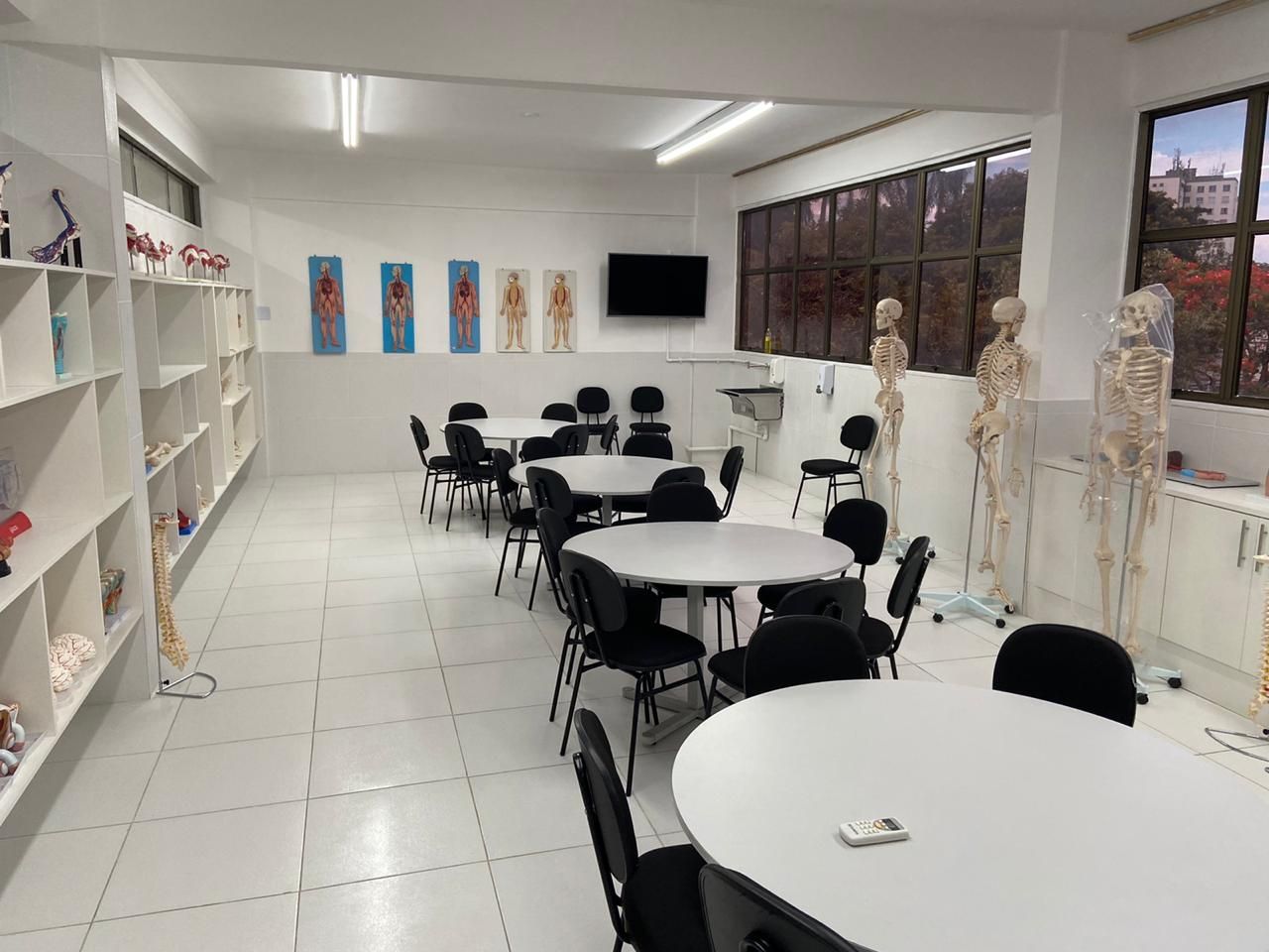 Imagem da galeria 4