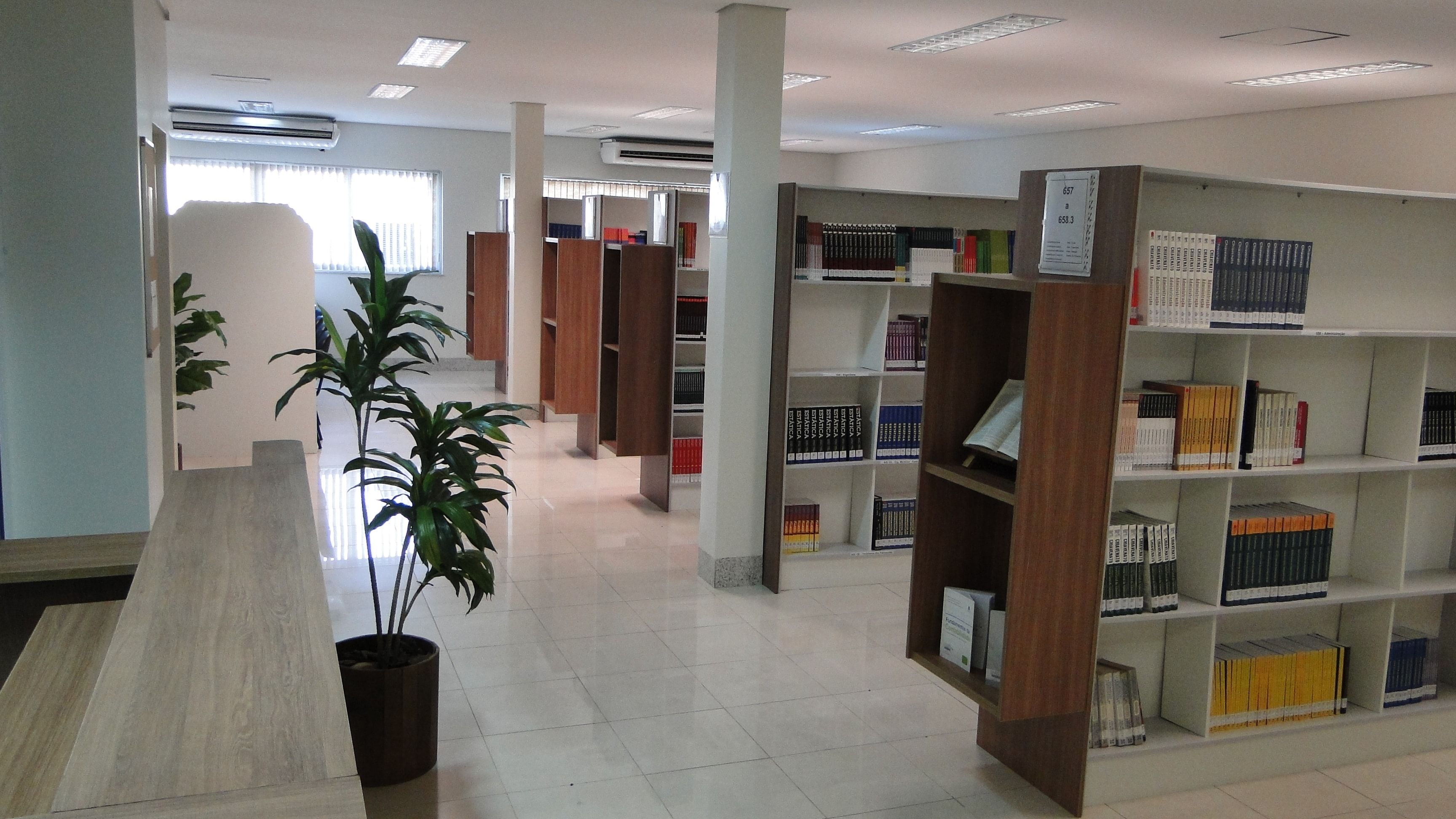Imagem da galeria 4