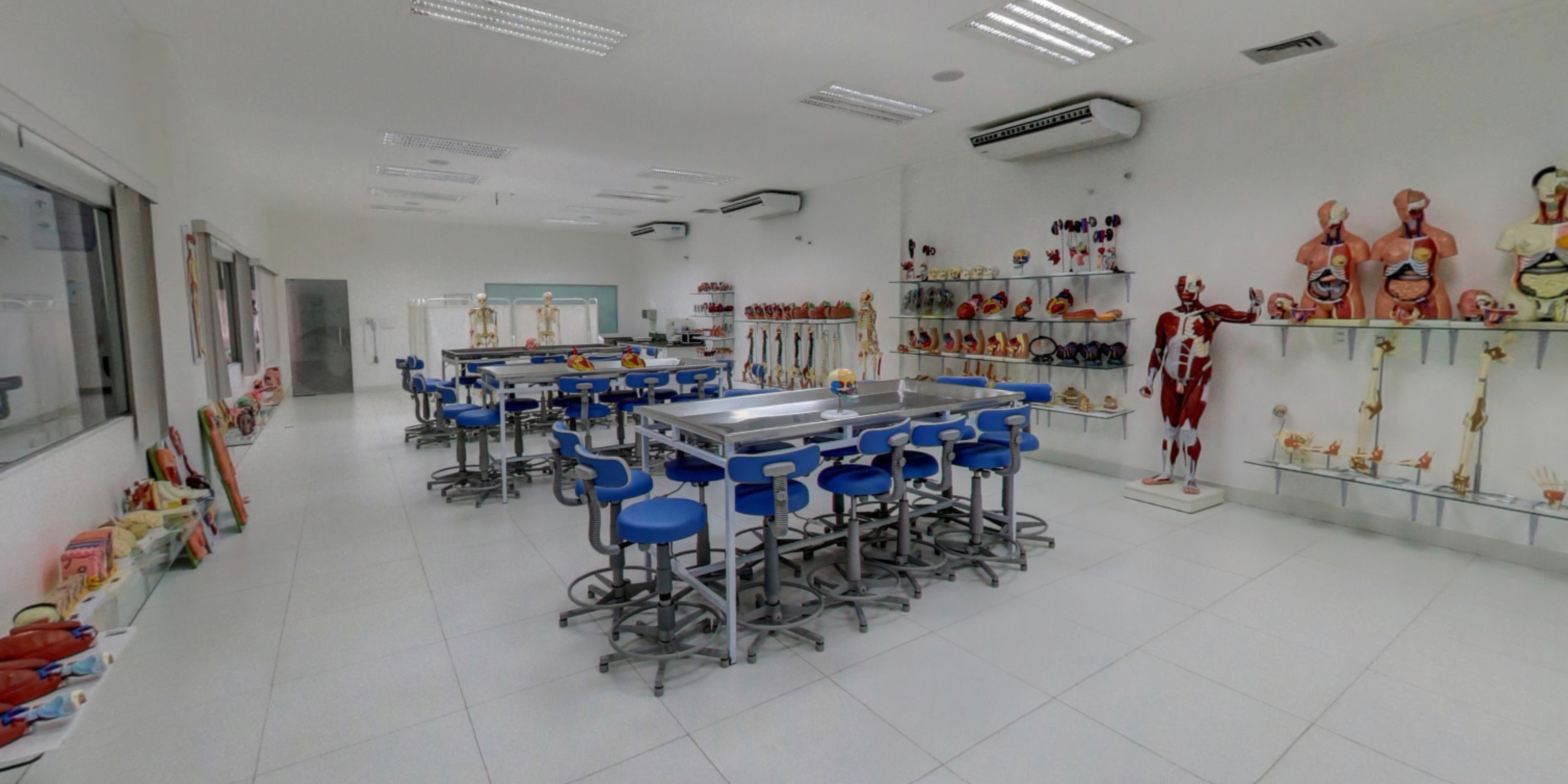 Imagem da galeria 3
