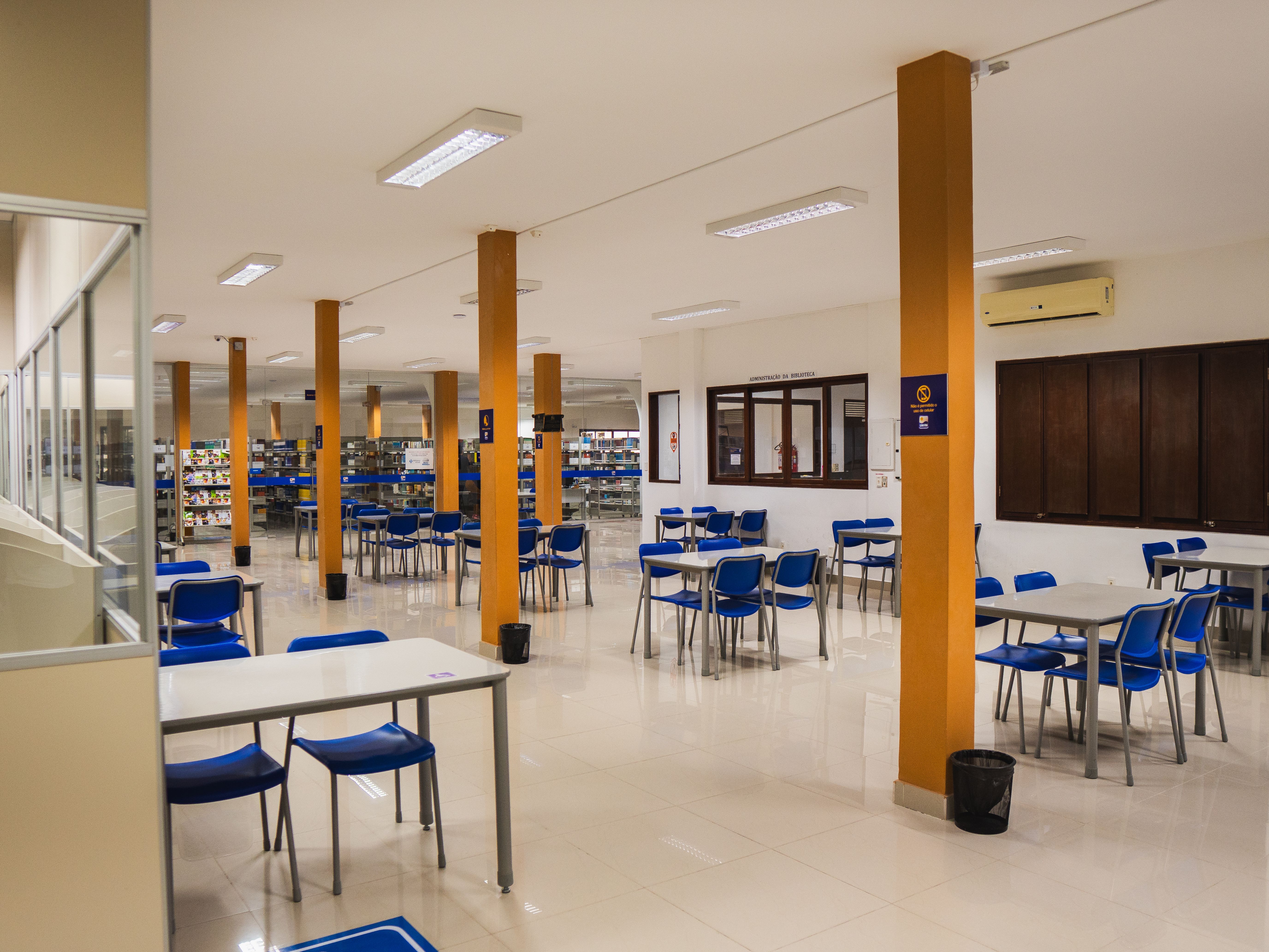 Imagem da galeria 5