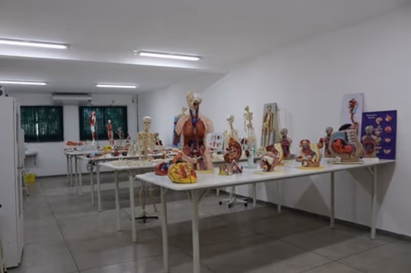 Imagem da galeria 4