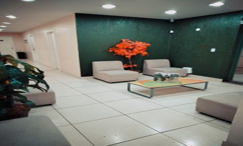 Imagem da galeria 3
