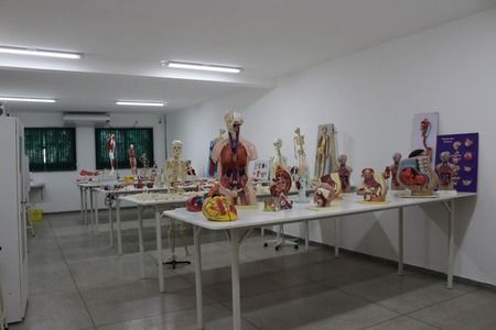 Imagem da galeria 2