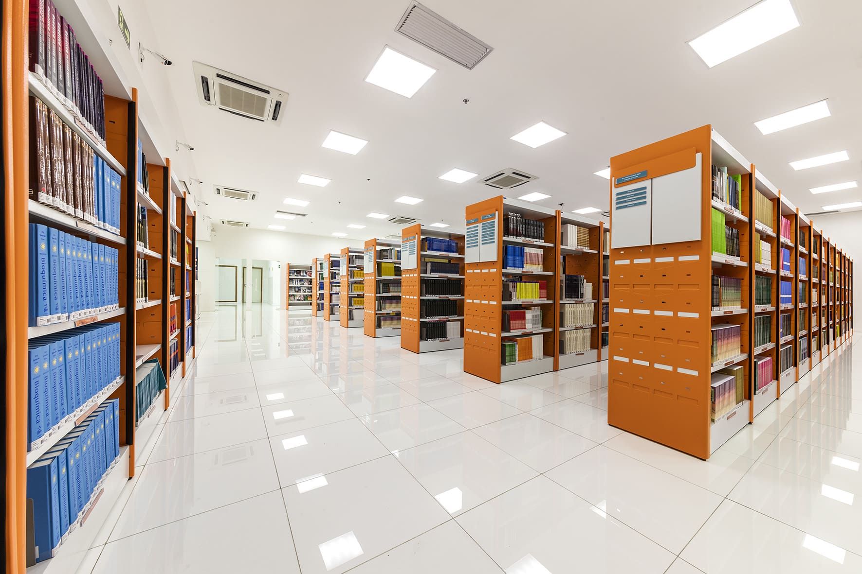 Imagem da galeria 10