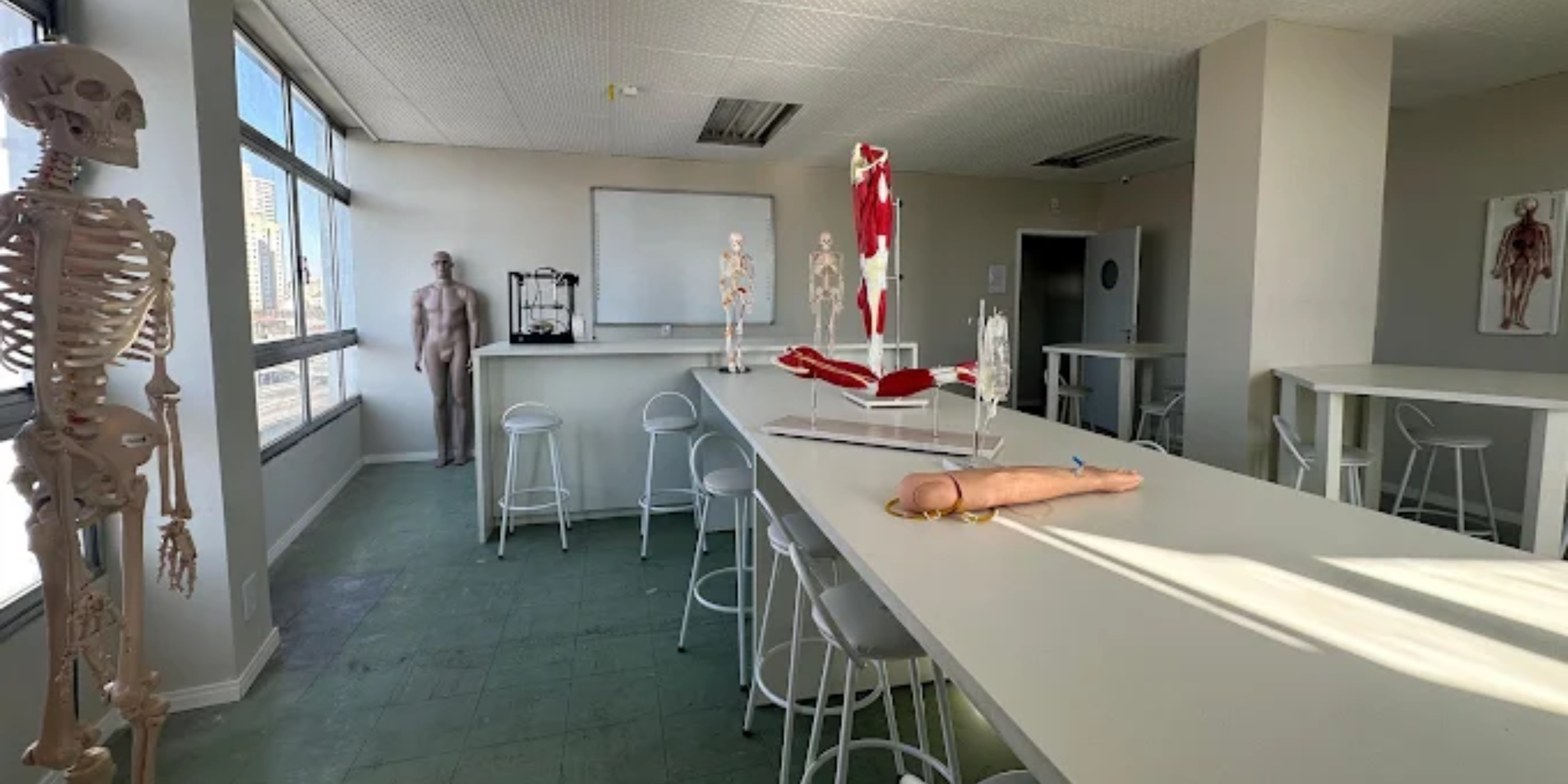 Imagem da galeria 2