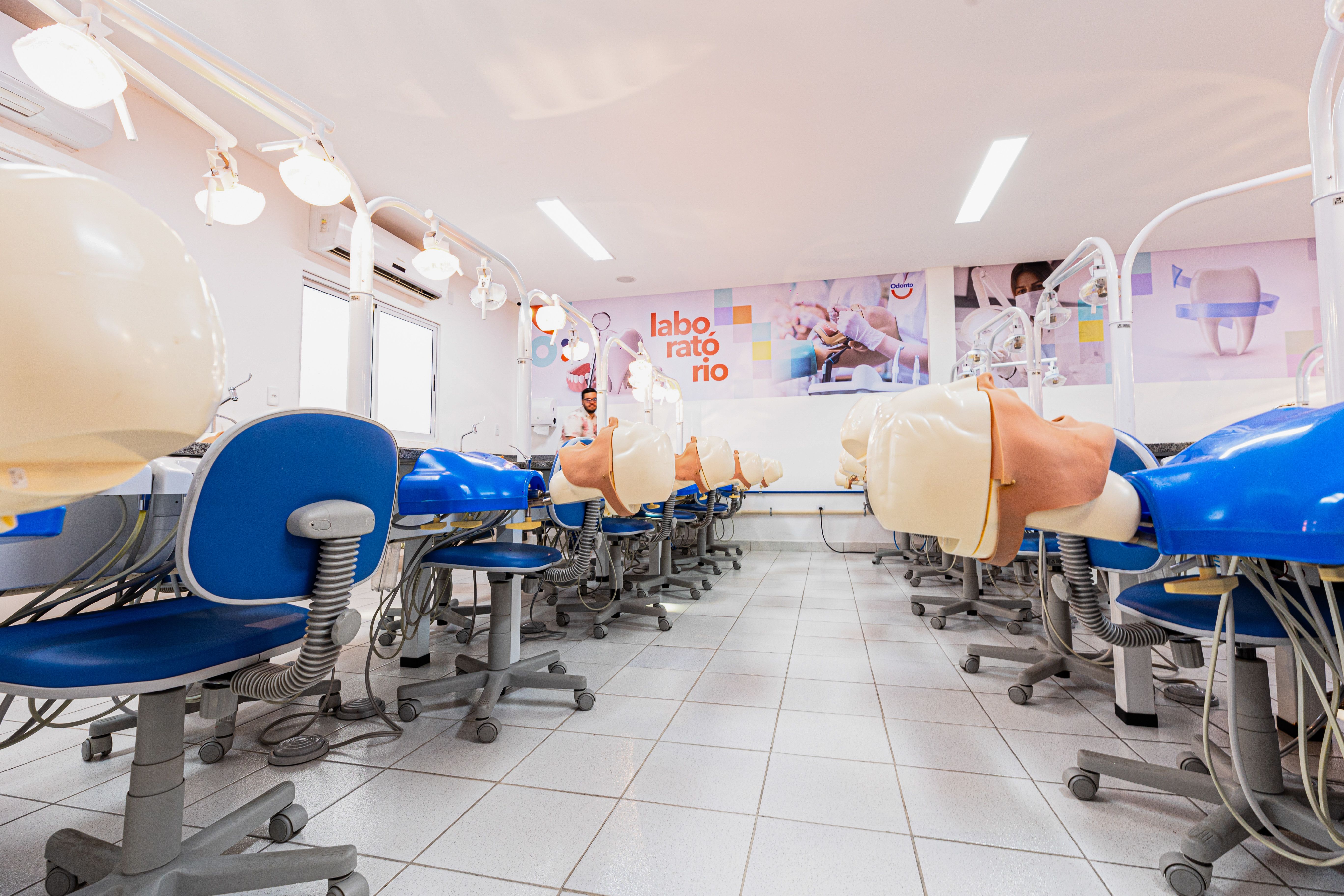 Imagem da galeria 6