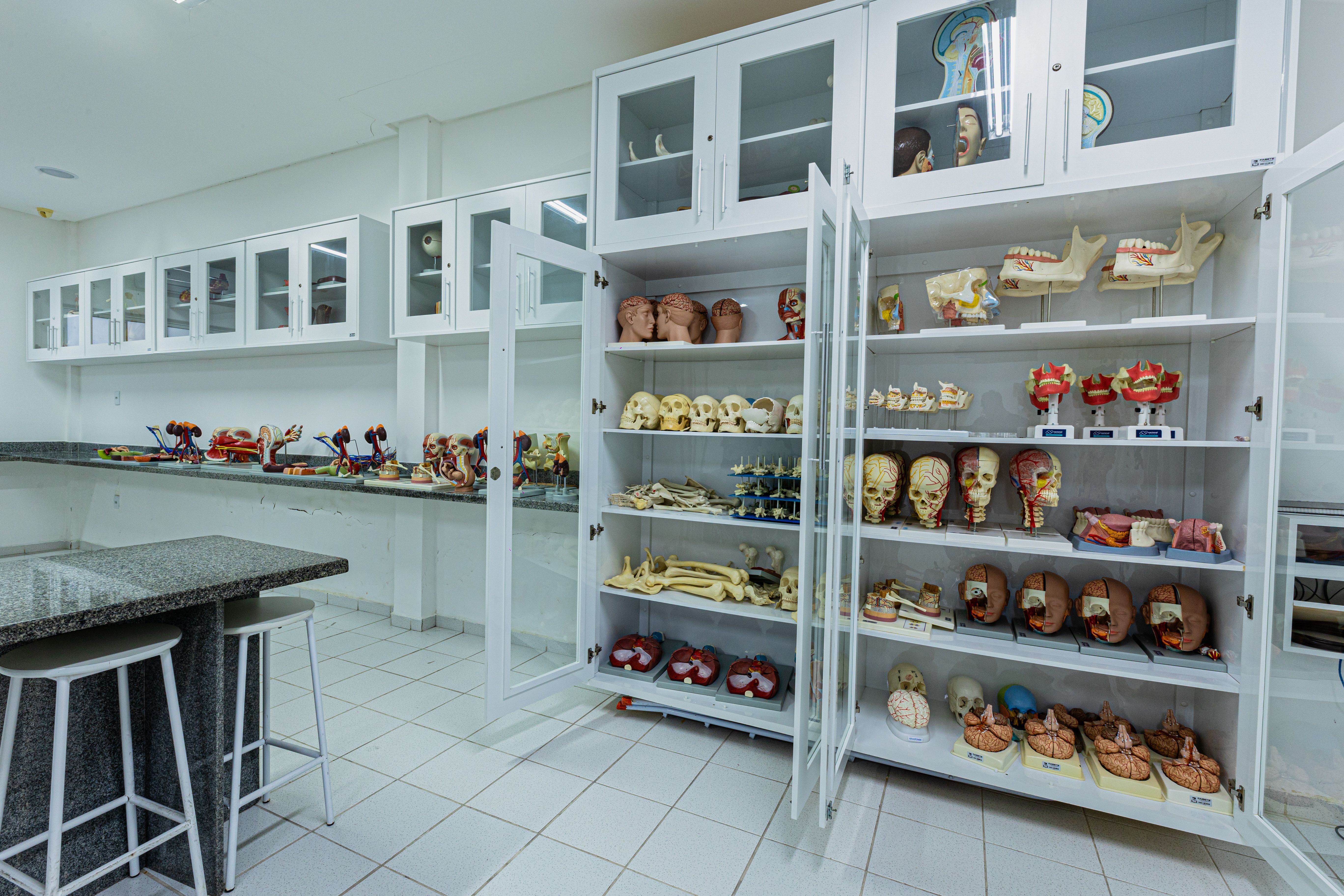 Imagem da galeria 4