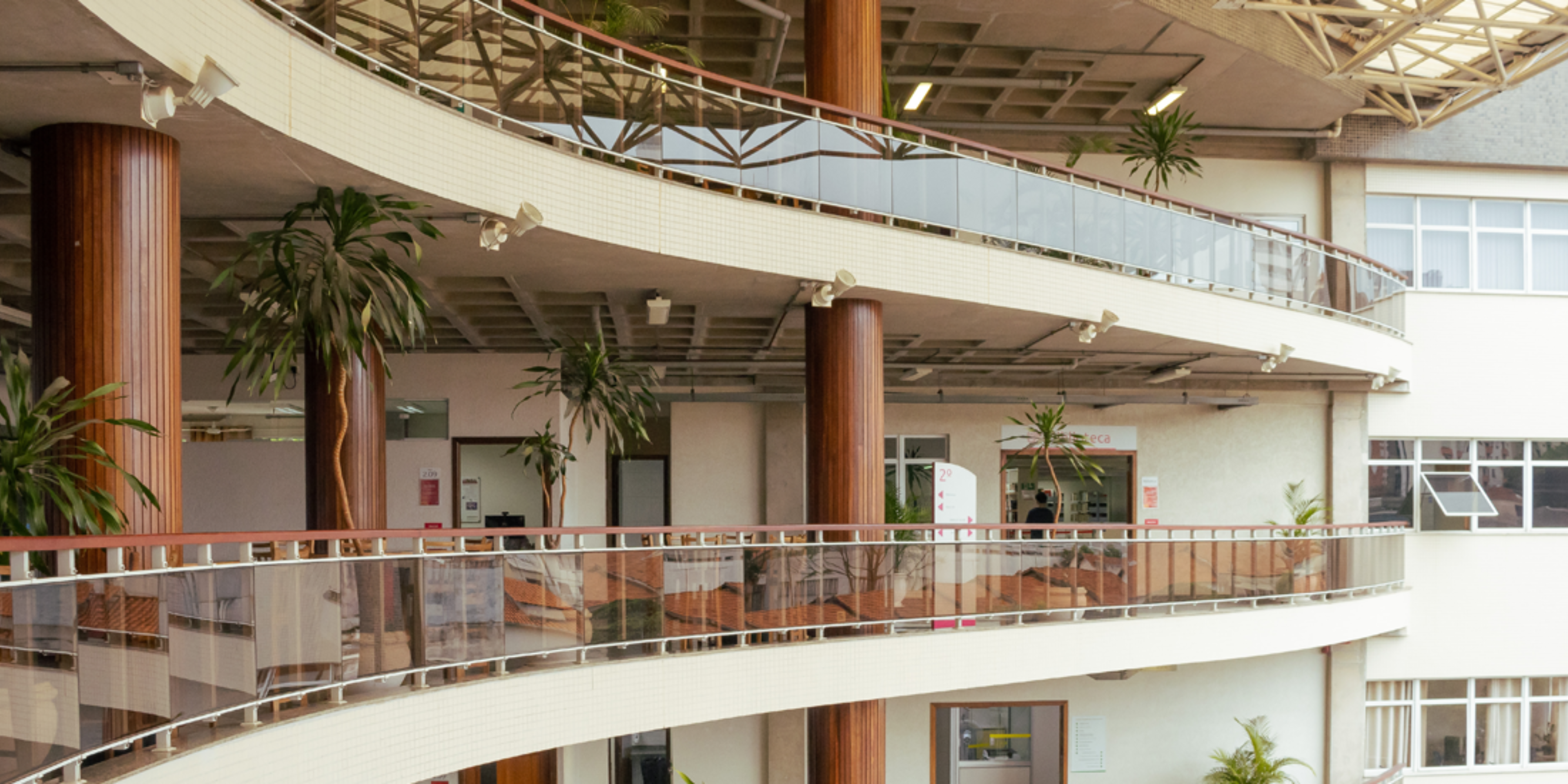 Imagem da galeria 1