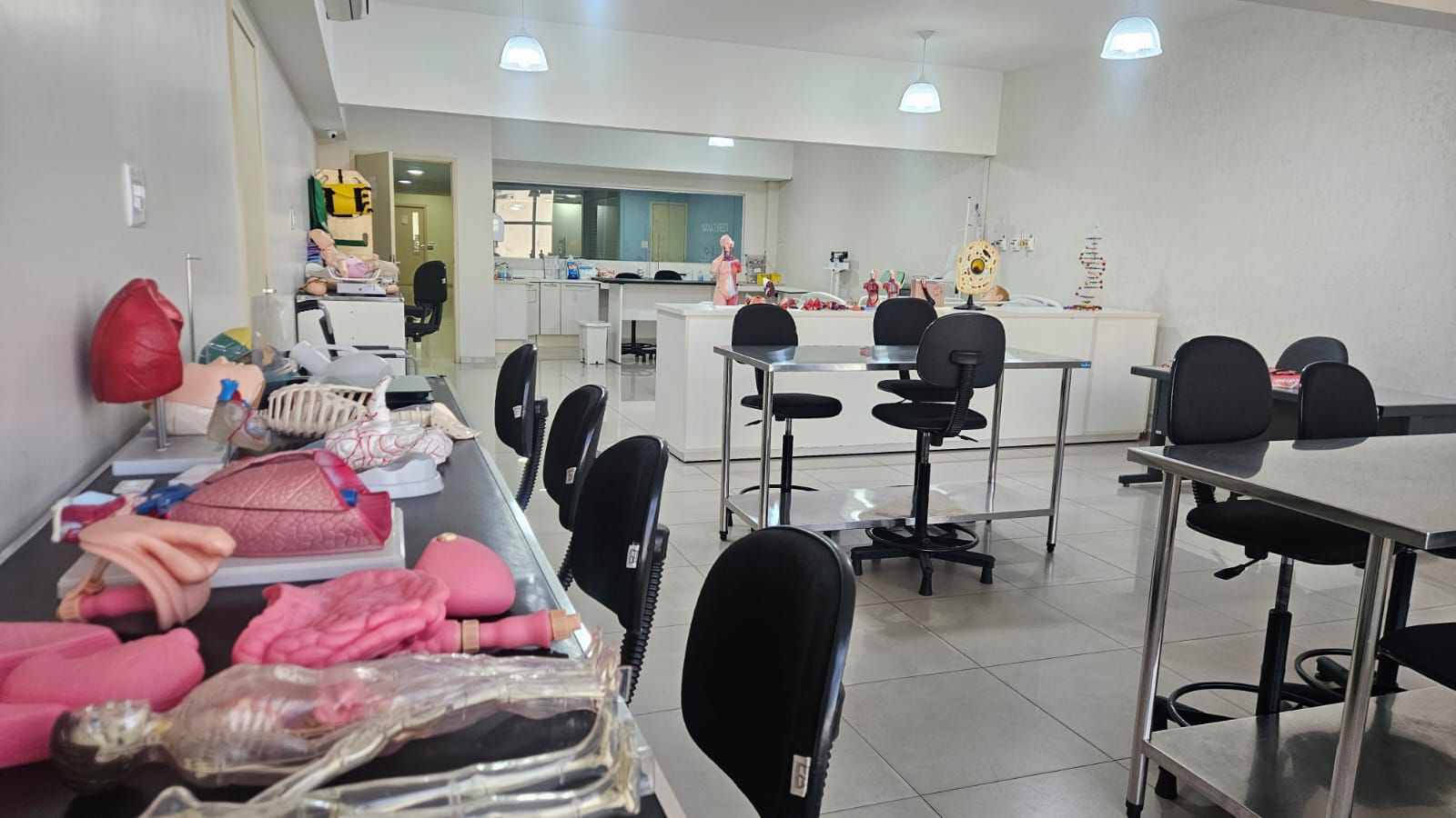 Imagem da galeria 4