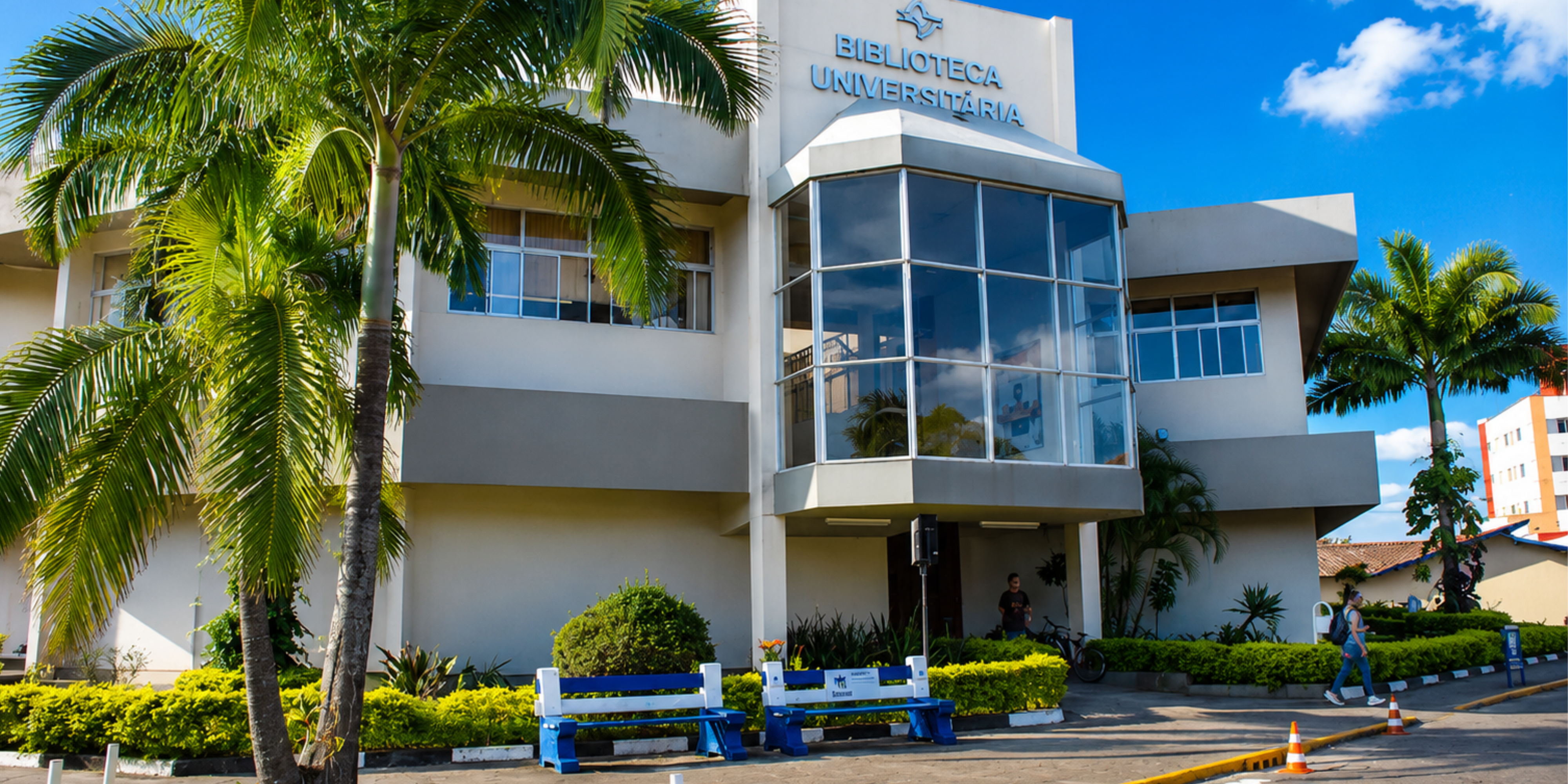 Imagem da galeria 3