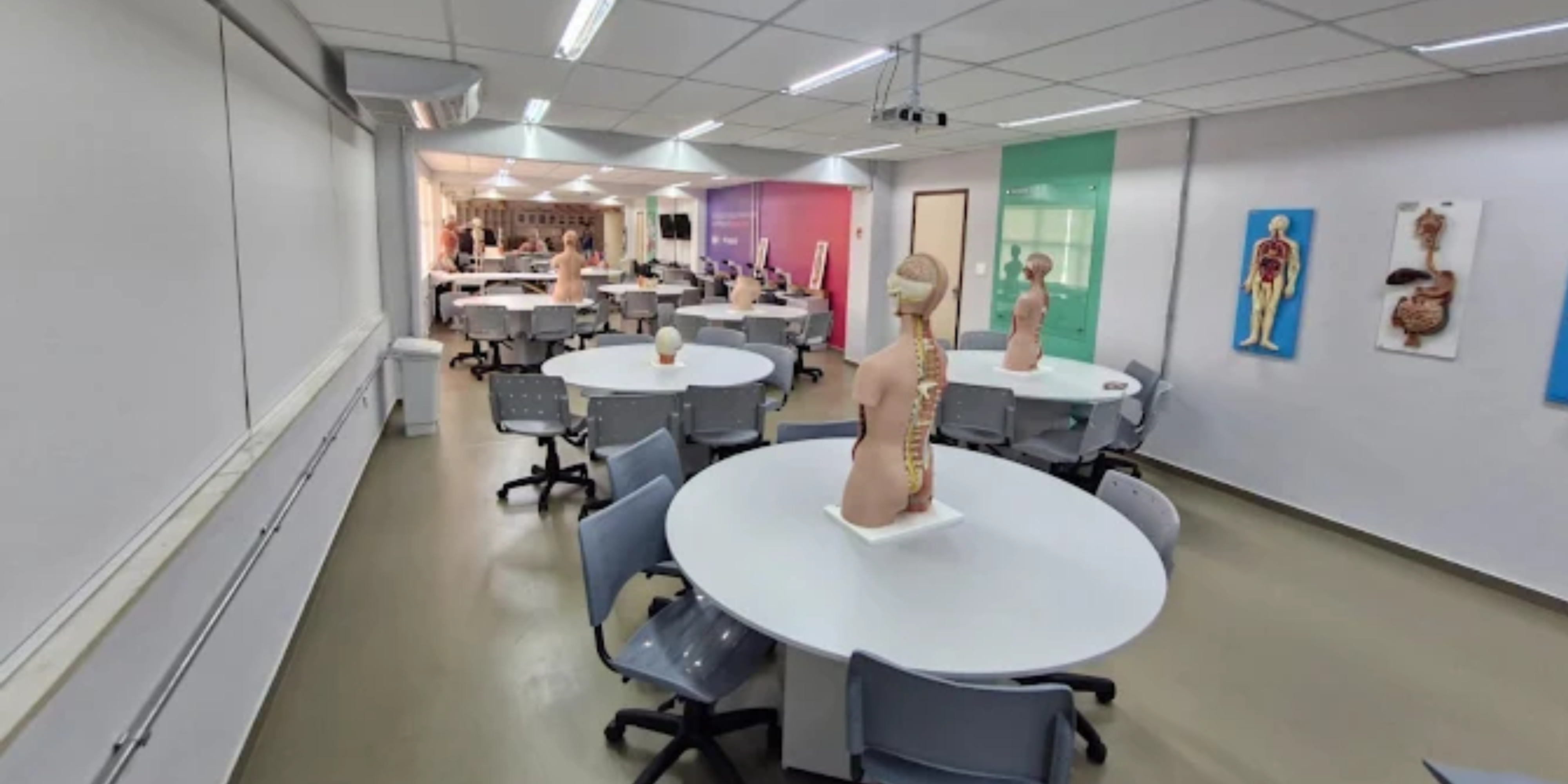 Imagem da galeria 3