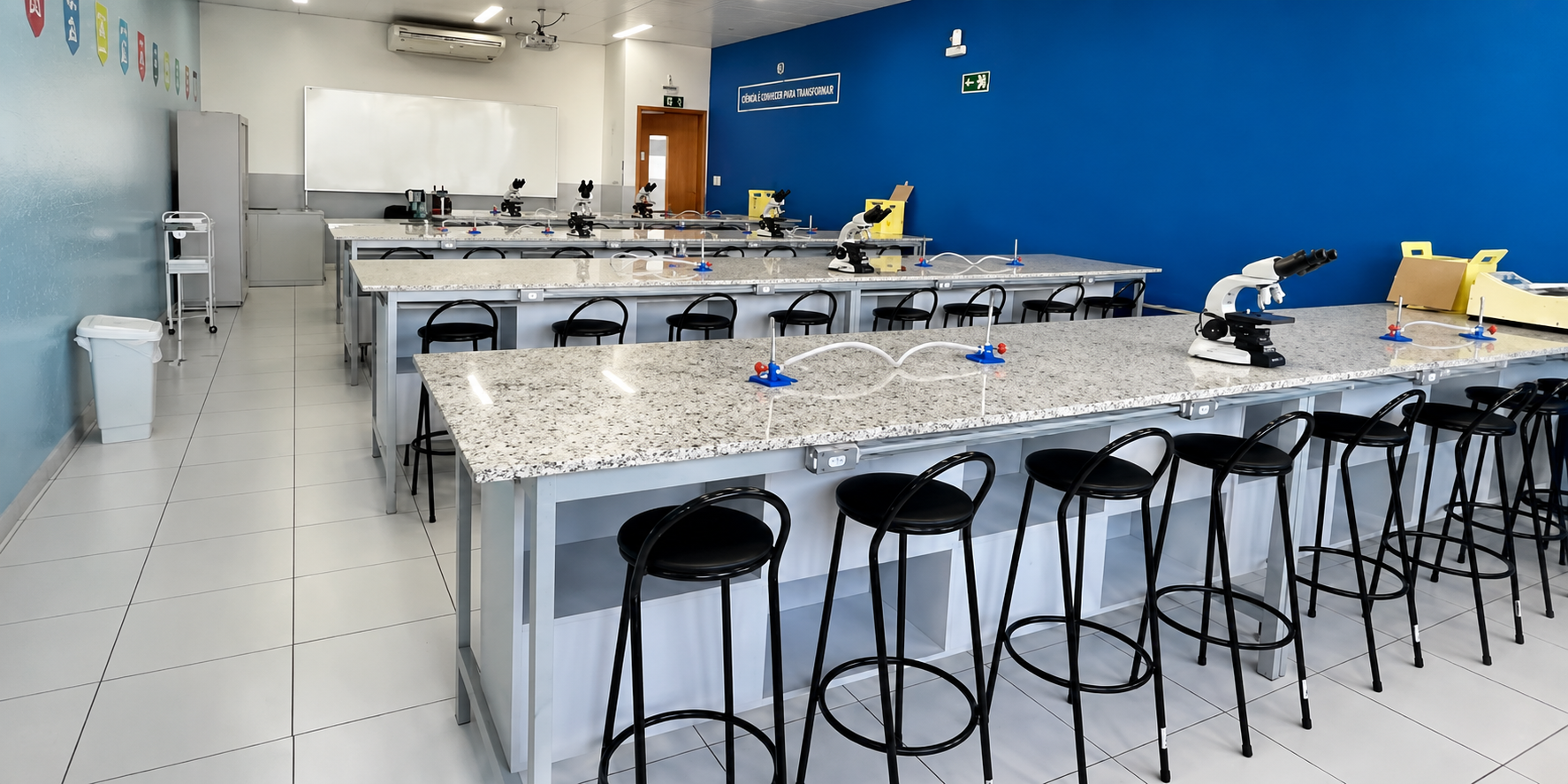 Mídia da galeria: 3 de 3