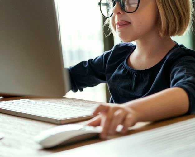 Ensino Básico à Distância: Polêmicas, Realidade e Mitos 