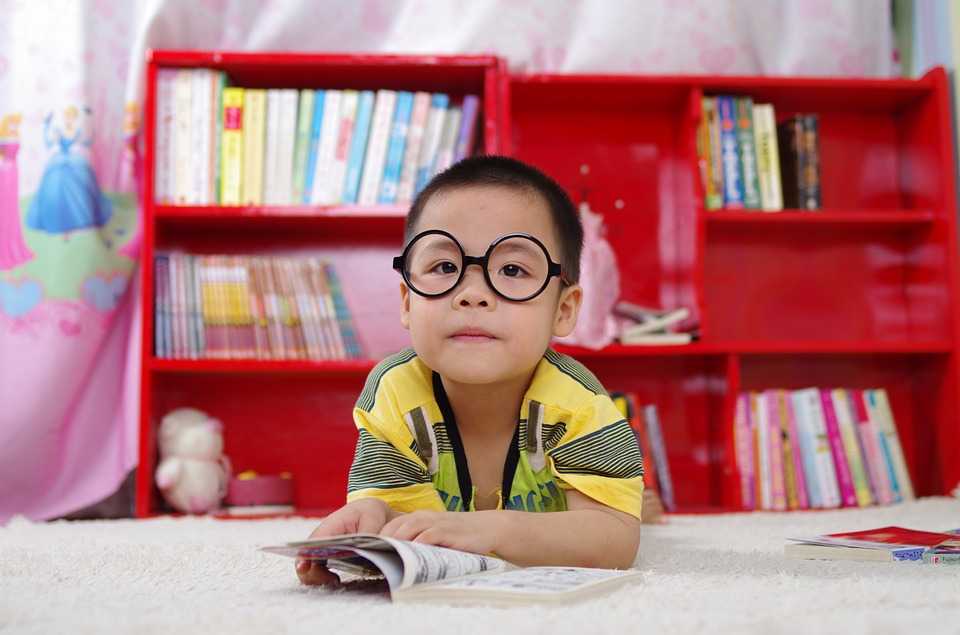  Como o hábito da leitura influencia no desempenho escolar? 