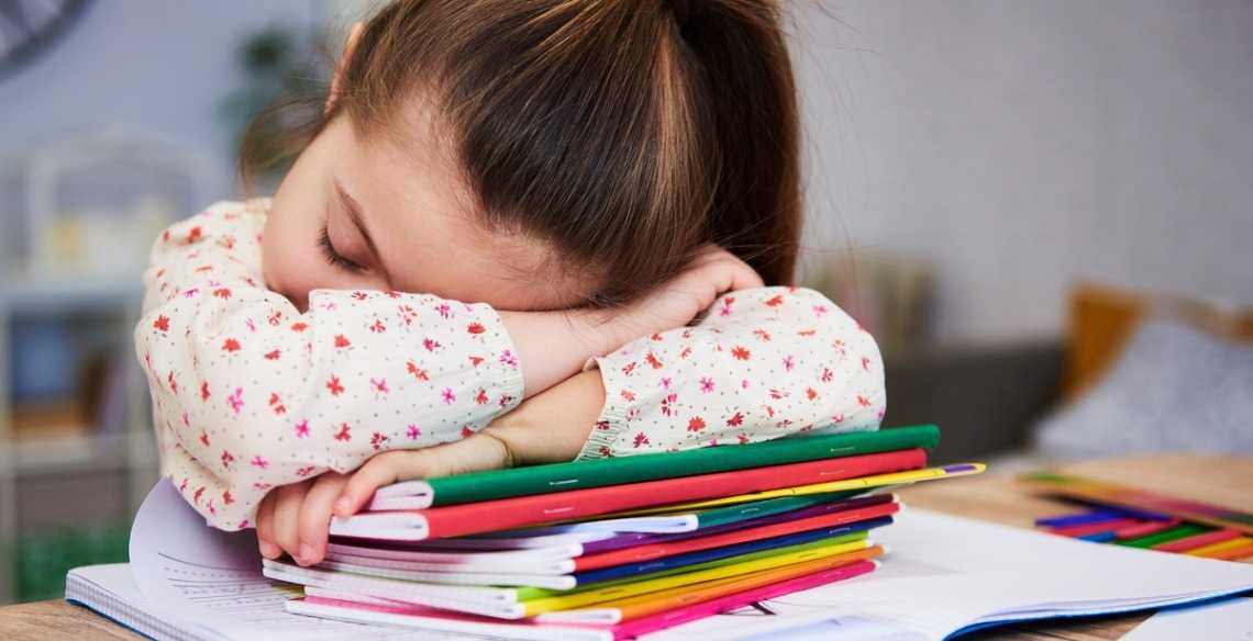  5 dicas de como fazer meu filho estudar 