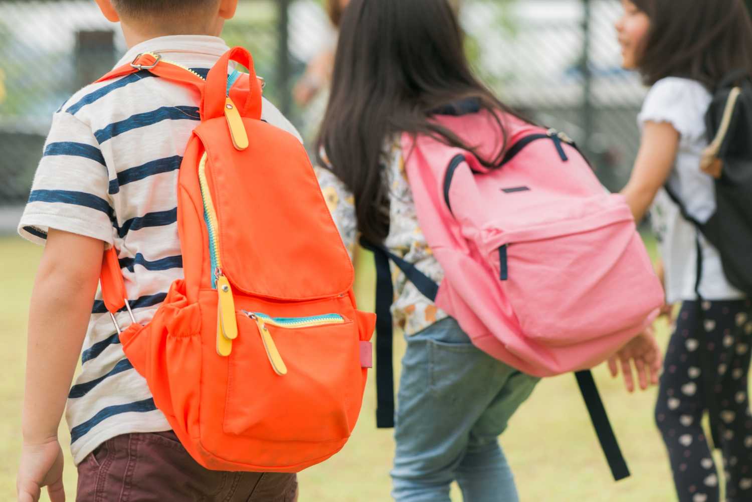  10 melhores escolas particulares de Duque de Caxias 