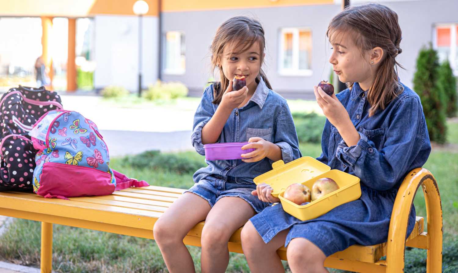  Veja dicas para preparar o lanche escolar do seu filho 