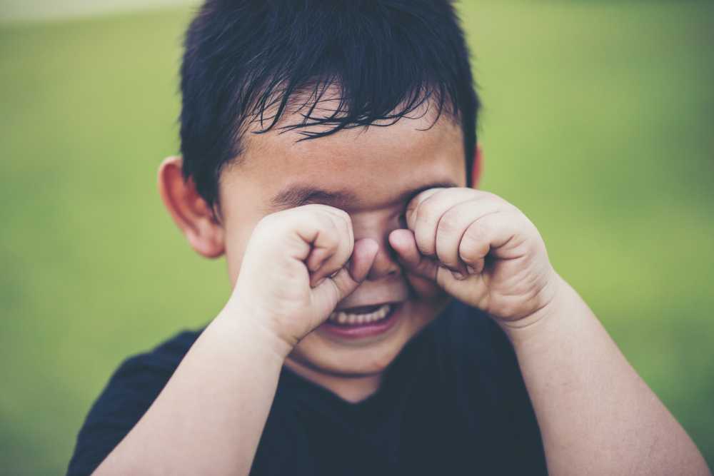  Meu filho chora para ir a escola, o que fazer? 