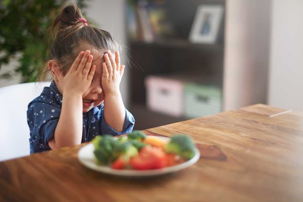  Meu filho não quer comer: veja o que fazer 