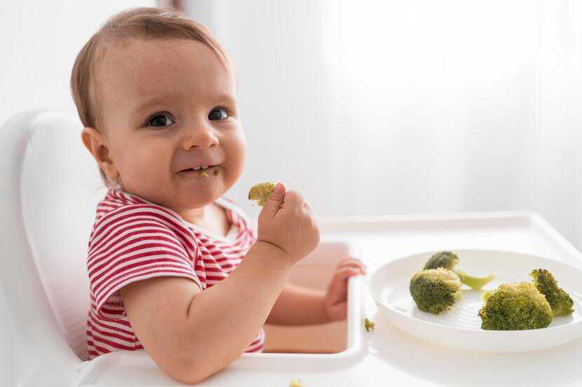  Tudo o que você precisa saber sobre introdução alimentar 