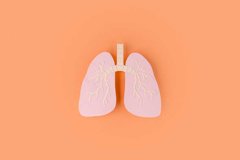  Nova vacina pelo SUS: entenda os riscos respiratórios da Bronquiolite 