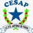 Logo - Colégio Cesap