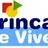 Logo - Brincar De Viver Creche Escola