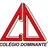 Logo - Colégio Dominante