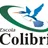 Logo - Escola Colibri