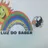 Logo - Escola Evangélica Luz Do Saber