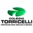 Logo - Torricelli Colegio Unidade I