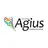 Logo - Colégio Agius – Ponta De Lapis