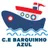 Logo - Centro Educacional Barquinho Azul