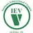 Logo - Instituto Educacional Virgínia