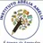 Logo - Instituto Adelia Amelia