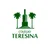 Logo - Colégio Teresina