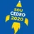 Logo - Colégio Cedro