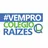 Logo - Colégio Raízes