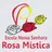 Logo - Escola Nossa Senhora Rosa Mística