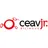 Logo - Ceav Jr – Jequitibá