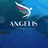 Logo - Colégio Angelis