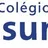 Logo - Colégio Assunção