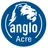 Logo - Escola Primeiro Passo Anglo Acre